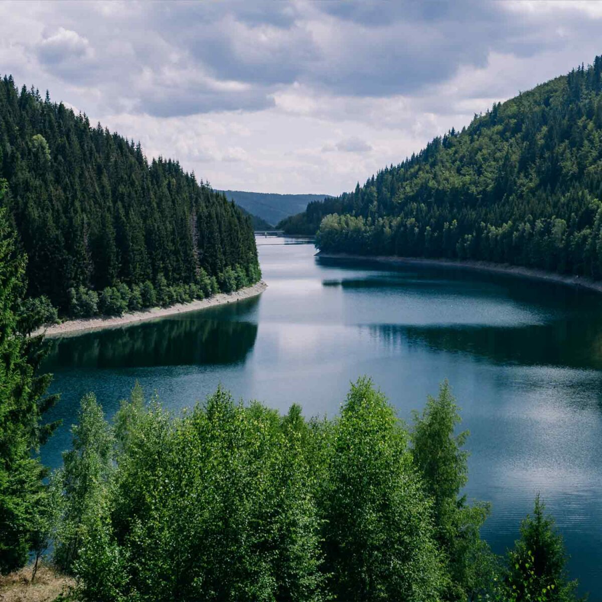 טפט של אגם מתפתל עם יער משני צדדיו